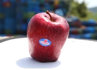 Zagorin: O συνεταιρισμός του Πηλίου μεγαλώνει και βραβεύεται