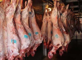 Επιχειρηματίας σφαγείων χαρίζει 300 κατασχεμένα αρνιά