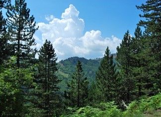 Η Πίνδος κρύβει τον δικό της πλούτο