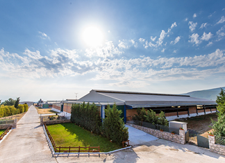 Αλμυρός: Ανταλλαγή ακινήτου για την Greek Family Farm 