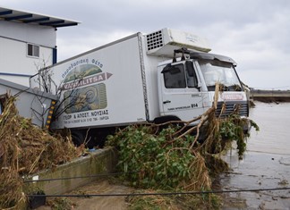 Μεγάλη καταστροφή στο τυροκομείο "Βασιλίτσα"