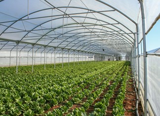 Φόρος - χαράτσι στο νερό των καλλιεργειών