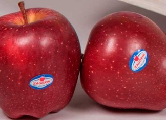 Στην αγορά και σε ελκυστική τιμή τα μήλα Zagorin