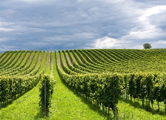 Τρίτο Πυλώνα ενισχύσεων σχεδιάζει η Ε.Ε. στα αγροκτηνοτροφικά - Πιθανή η βιομηχανική ΚΑΠ