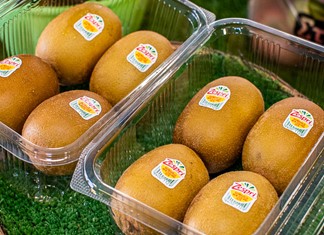 Τα Ελληνικά ακτινίδια φτάνουν μέχρι την Βραζιλία