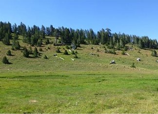 Το πανελλήνιο λιβαδοπονικό συνέδριο στη Λάρισα