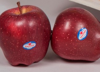 Νέα διοίκηση εξέλεξε ο Αγροτικός Συνεταιρισμός Ζαγοράς Πηλίου