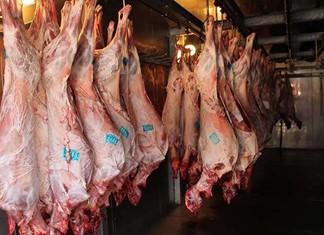 Στα 12 ευρώ κυμαίνεται το αρνί στη Θεσσαλία