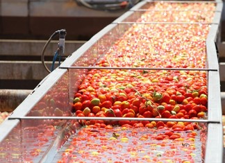 Στον Δασκαλόπουλο περνάει η μονάδα της Pummaro