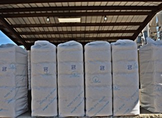 Βαμβάκι: Σε Καρδίτσα - Λάρισα η μεγαλύτερη ποσότητα