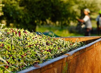 Ξέμεινε από εργάτες η αγροτική Μαγνησία
