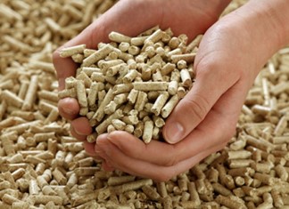 Πανεπιστήμιο Θεσσαλίας: Ανεξέλεγκτη η αγορά του πέλλετ