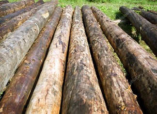 Τρίκαλα: Στο «σφυρί» 45 στρ. της «Αφοι Δερπανόπουλοι» 