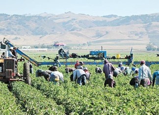 Συμφωνία για ξένα εργατικά χέρια στον κάμπο