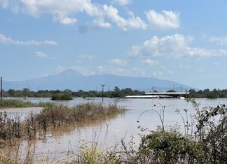 Πνίγηκαν 450 ζώα σε μονάδα στην Τερψιθέα Λάρισας