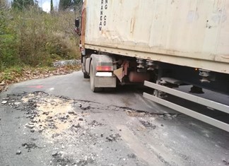 Με κόπο και ζημιές κατεβαίνουν τα μήλα από το Πήλιο