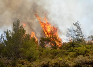 Αποζημιώσεις για τις πυρκαγιές στη Μαγνησία