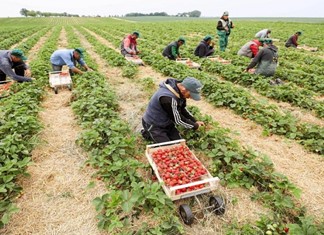 Γιατί λείπουν εκατοντάδες χιλιάδες εργατικά χέρια