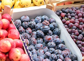 Πρόστιμο της Περιφέρειας στην Συνεταιριστική Οργάνωση Μηλεών