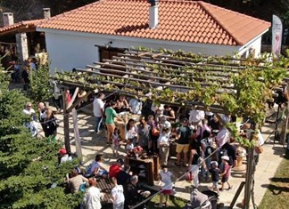 4.000 επισκέπτες στο Γαστρονομικό Φεστιβάλ Πηλίου