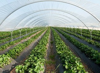 Θεματικό συμπόσιο για τη γεωργία στη Λάρισα