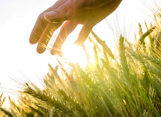 Η υποστήριξη του αγροδιατροφικού τομέα είναι το κλειδί για την ανάπτυξή του