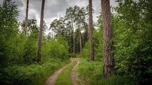 Αίτηση επαναγοράς εκτάσεων από 700 ιδιοκτήτες στην Μαγνησία