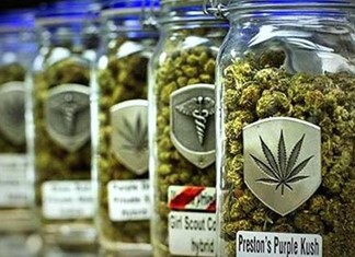 Στη Λάρισα το 1ο Φόρουμ βιομηχανικής κάνναβης