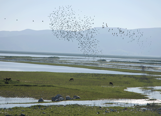 Αφιέρωμα στη Λίμνη Κάρλα - Παγκόσμια Ημέρα Περιβάλλοντος 2018