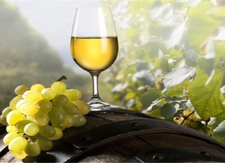 Οίνος: Στο -26% οδεύει η φετινή Ελληνική παραγωγή