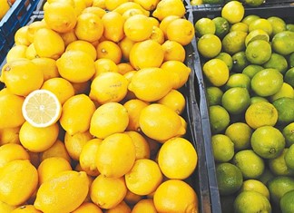 Ο κορονοϊός διπλασιάζει τις τιμές των λεμονιών