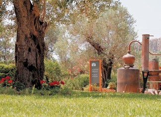 Το Πλωμάρι πίσω από την επένδυση στον Τύρναβο