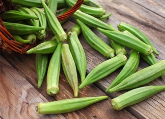 Σταμάτησε η καλλιέργεια Ελληνικής μπάμιας