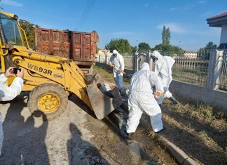 Απουσία σχεδίου για τα κουφάρια στα χωράφια