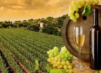 Λάρισα: Χρήμα σε επτά επενδύσεις μέσω Leader