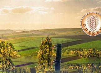 Η έρευνα σκόνταψε σε δύο υπουργούς