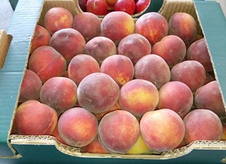 Φουντώνει η φοροδιαφυγή με εικονικές εξαγωγές αγροτικών προϊόντων προς Βουλγαρία