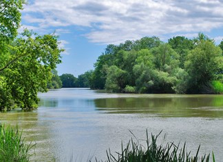 Ρύπανση του Πηνειού από 4 τυροκομεία του Δήμου Τεμπών