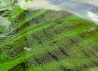 Πρώτη μονάδα φυτοπλαγκτόν στην Ελλάδα            