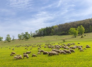 Ευρωπαϊκό κλιµάκιο στη Θεσσαλία για τον ιό