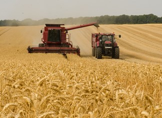 Πλήγματα από Τουρκία στο θεσσαλικό σιτάρι