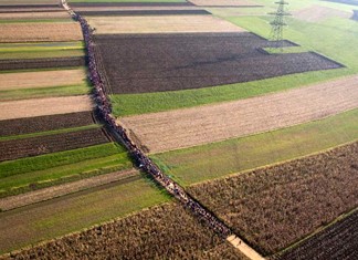 Άνοιξε η πλατφόρμα ενημέρωσης πληρωμών αγροτικών προϊόντων