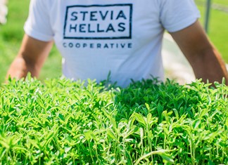 Συνεργασία της Στέβια Ελλάς με θεσσαλικές επιχειρήσεις