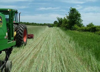 Αγροτικό Τμήμα θα ιδρύσει το Επιμελητήριο Λάρισας