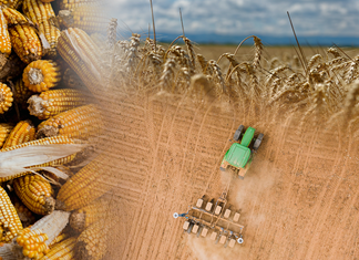 Ράλι τιμών σε τρόφιμα λόγω κλιματικής κρίσης