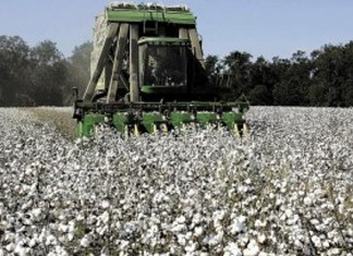 Η Καρδιτσιώτικη "Καφαντάρης - Παπακώστας" απαντά για την προσφυγή στο άρθρο 106β