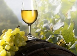 «Ανοιχτές Πόρτες» για το οινοποιείο Τσιλιλή