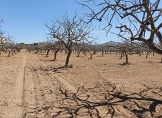 Στα 2,6 δισ. το ετήσιο κόστος της ξηρασίας για τη χώρα μας