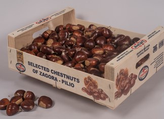 ZAΓΟΡΙΝ: Πρωτοστατεί για Π.Ο.Π. κάστανα του Πηλίου 