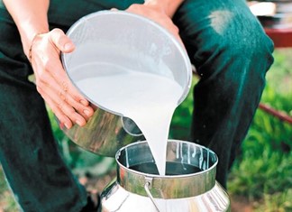 Μειώθηκε το αιγοπρόβειο γάλα στη Θεσσαλία